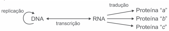 Imagem da questão