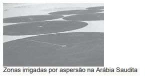Imagem da alternativa D