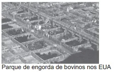 Imagem da alternativa C