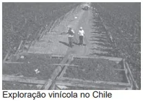 Imagem da alternativa A