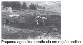 Imagem da alternativa B