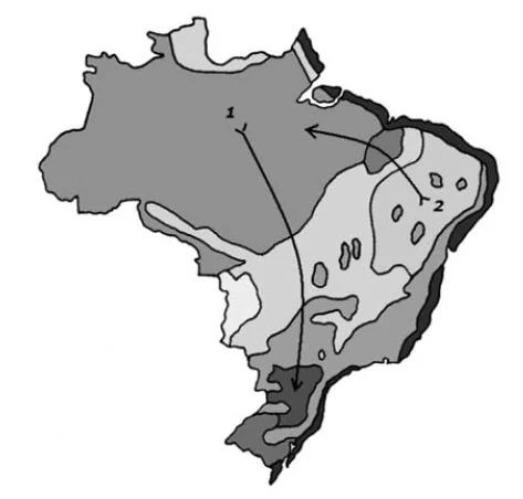 Imagem da questão