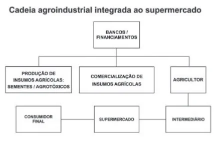 Imagem da questão