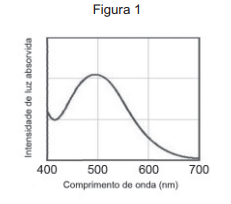 Imagem da questão