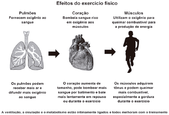 Imagem da questão