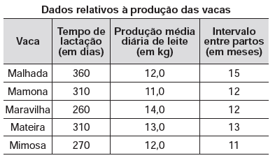 Imagem da questão