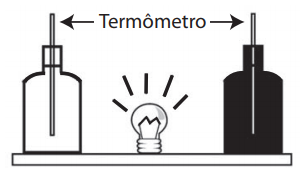 Imagem da questão