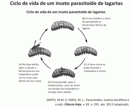 Imagem da questão