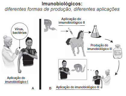 Imagem da questão