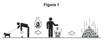 Imagem da questão