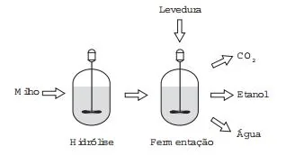 Imagem da questão