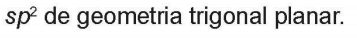 Imagem da alternativa B